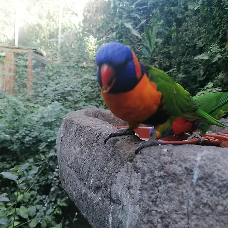 Global Immo 3289 Port Thalassa Διαμέρισμα *