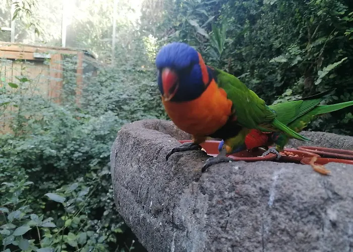 Global Immo 3289 Port Thalassa דירה *