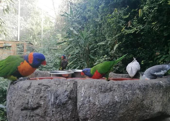 דירה Global Immo 3289 Port Thalassa